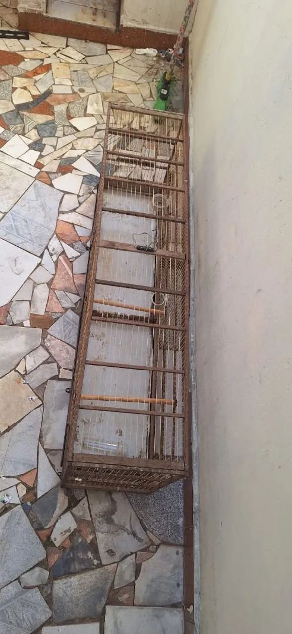 Gaiola pra coleiro  - Foto 3
