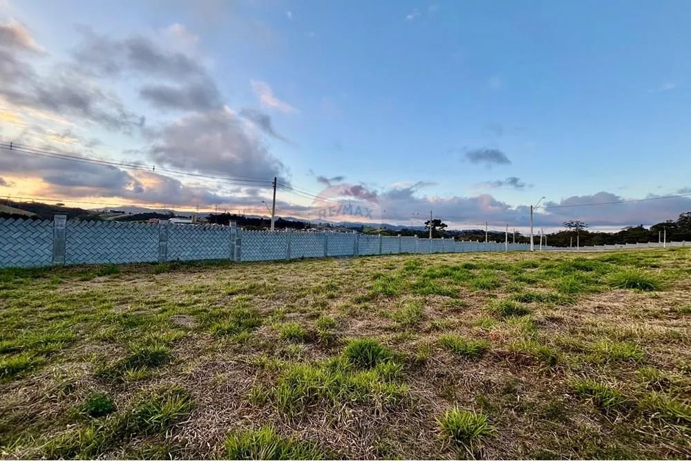 Terreno dos Seus Sonhos em Vila Oliveira! - Foto 3