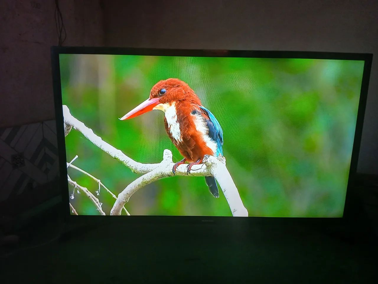 Smart TV Samsung 32 Polegadas - Perfeito Estado + Controle Original