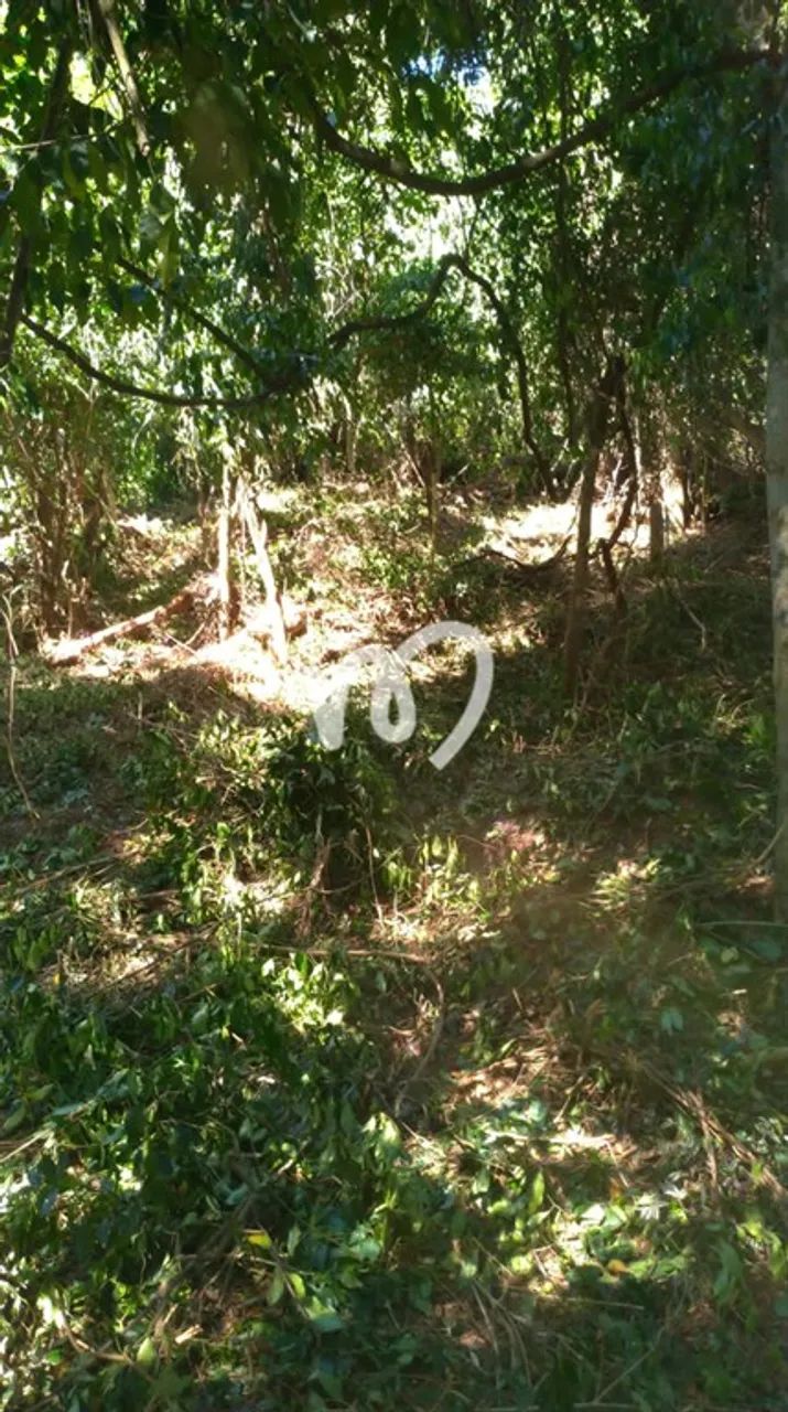 0 - Terreno - JACAREPAGUÁ - Foto 3