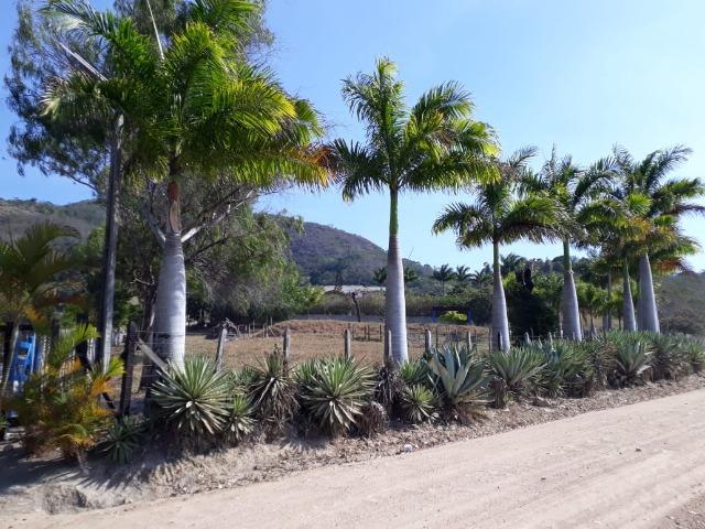 Sítio com 16 hectare em Gravatá-PE Ref.32 - Foto 11
