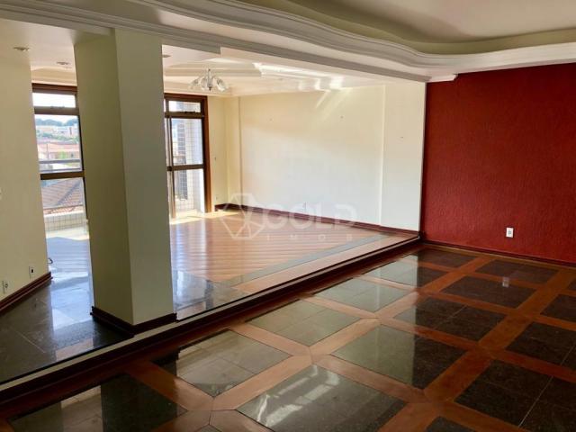 Apartamento à venda, 3 quartos, 2 vagas, cidade nova - franca/sp - Foto 3