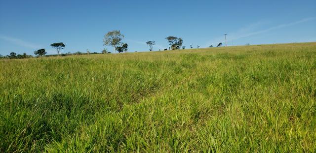 Fazenda a venda no extremo sul da bahia 170 ha - Foto 15