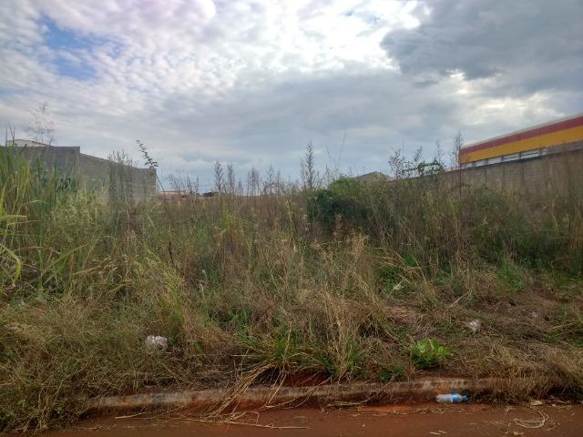 Terreno 1000m² Jardinópolis parque industrial Jose Marincek - Foto 5