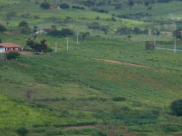 Fazenda 172 tarefas de terra com sede para criaçao de gado e cavalo e plantaçao - Foto 5