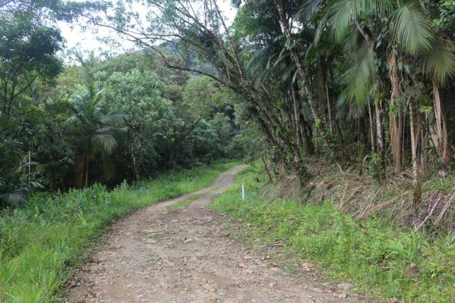Área em Morretes - Foto 10