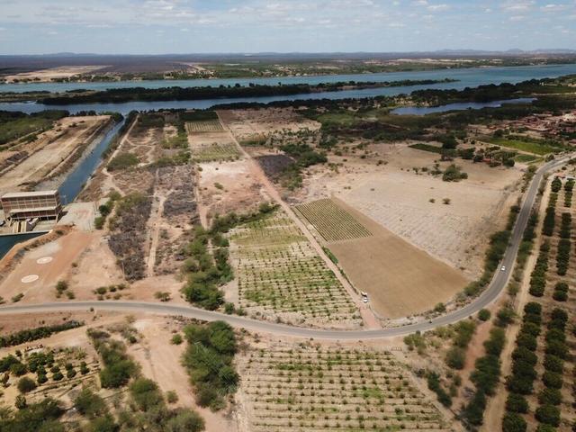 Chácara as margens do Rio São Francisco - Foto 4