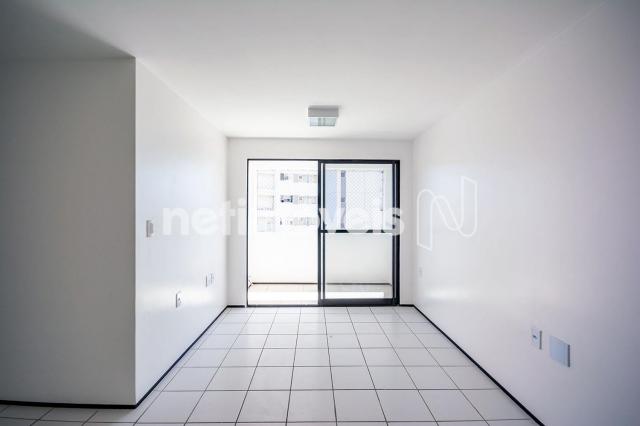 Apartamento para alugar com 3 dormitórios cod:776602 - Foto 2