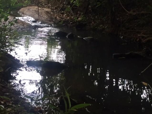 Sitio Inhumas go - Foto 3