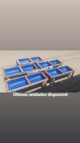 Cochos com valor promocional