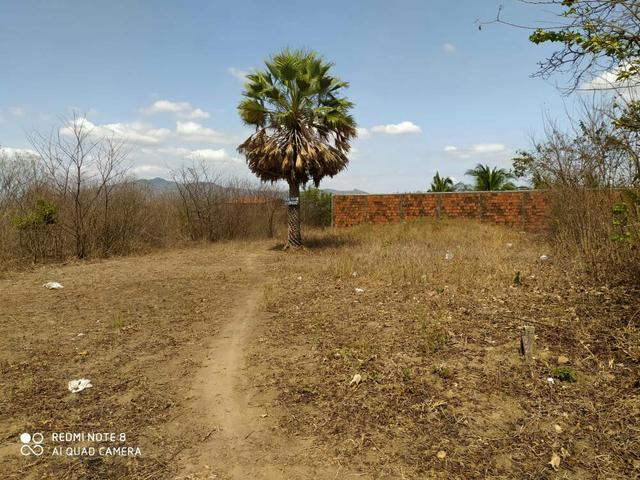 Terreno - Foto 4