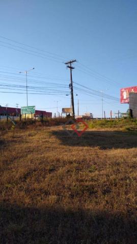 Terreno à venda, 4.200 m² - nova caruaru - caruaru/pe - Foto 14