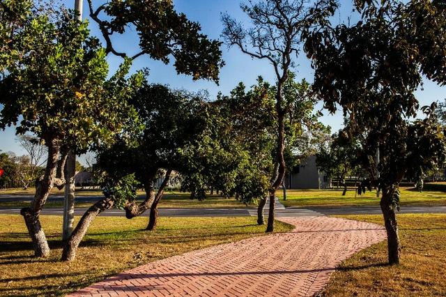 Terreno Supremo Itália / Preço Imperdível / Apenas 1 lote nesse valor - Foto 10