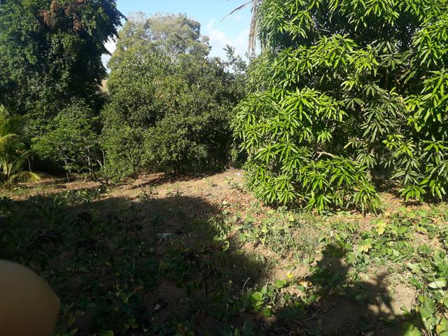 Terreno medição 28/40 - Foto 5
