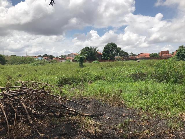 Vendo área na Estrada de Ribamar(6 Hectares) - Foto 3