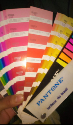 Pantone - Foto 5