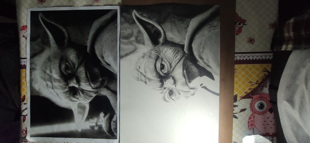 Mestre Yoda - Foto 4
