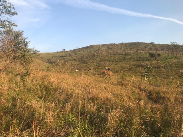 L238- Terreno bom e barato só aqui !!!! - Foto 3