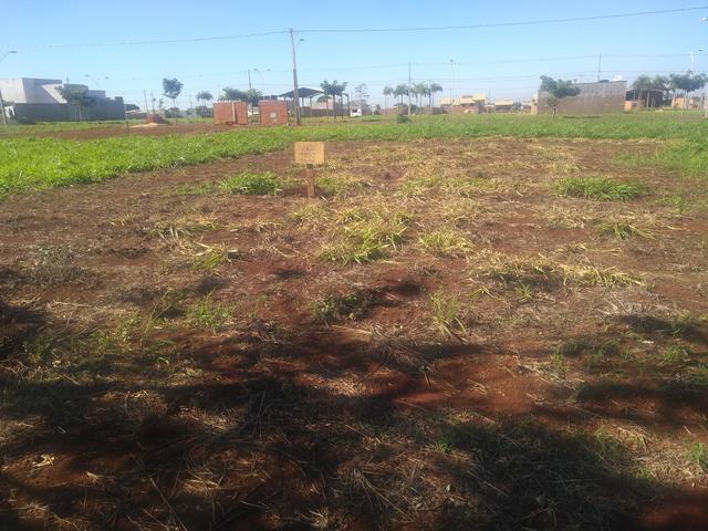 Terreno