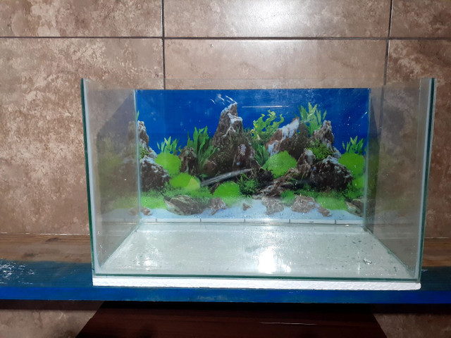 Aquário NOVO - Foto 4
