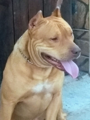 Disponível pra cruzar