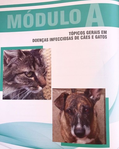 Livro Doenças Infecciosas na Rotina de Cães e Gatos no Brasil - usado em bom estado - Foto 2