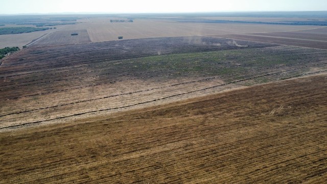 Fazenda 11 mil  Hectares  município de Pedro Afonso  - Foto 5