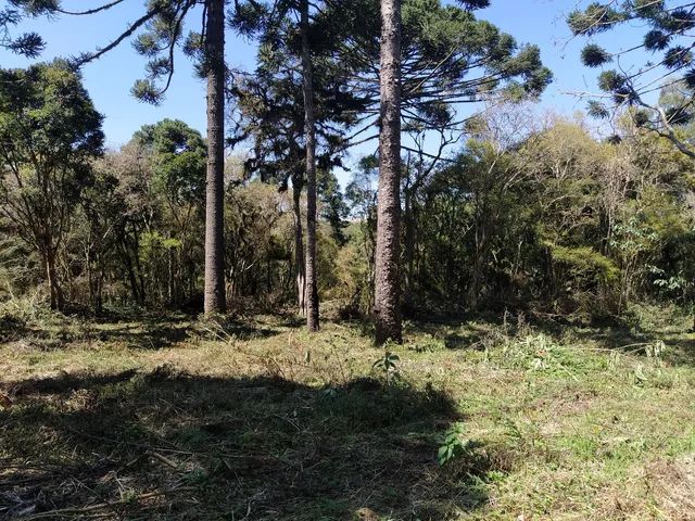 Sitio  da Eloisa - Foto 2