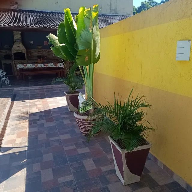 Coqueiros 