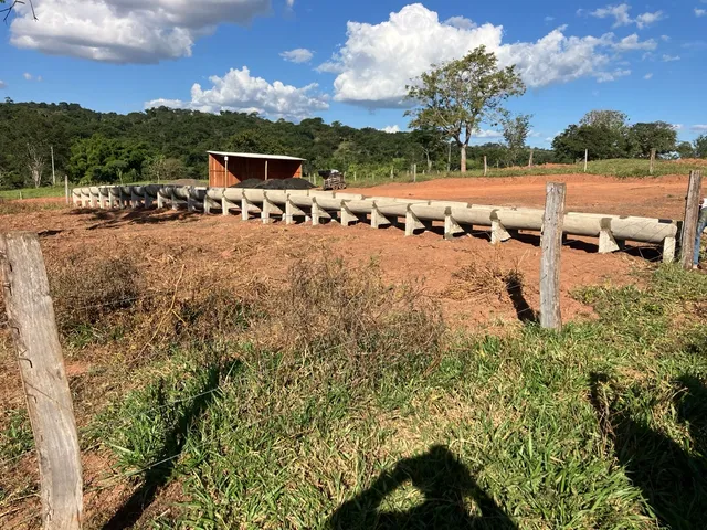 Cocho para gado - concreto