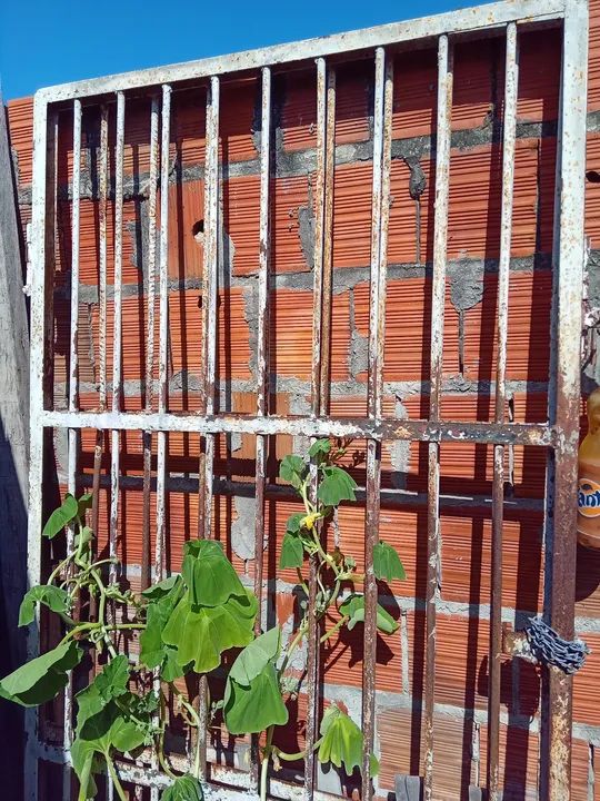 Portão de ferro puro reforçado  - Foto 2