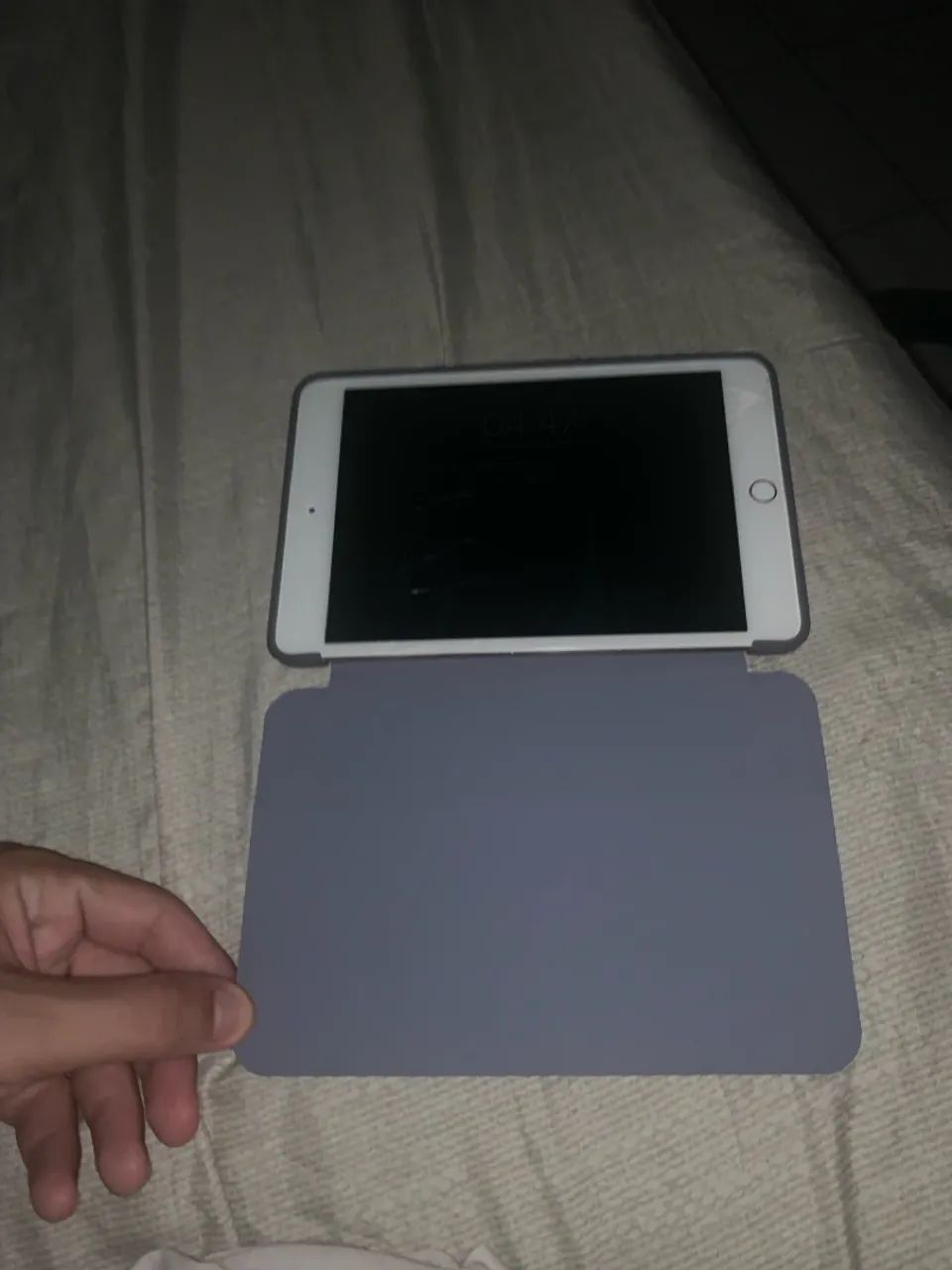 iPad mini 4