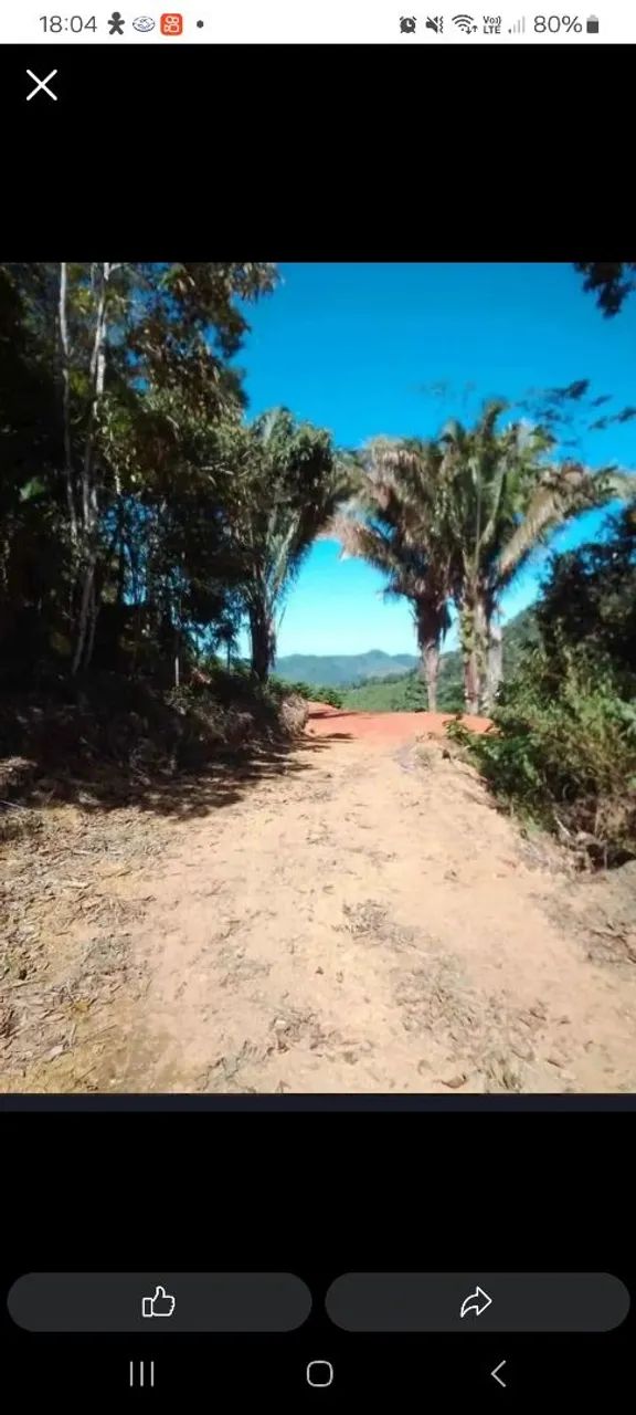 Foto - Santa Teresa - 