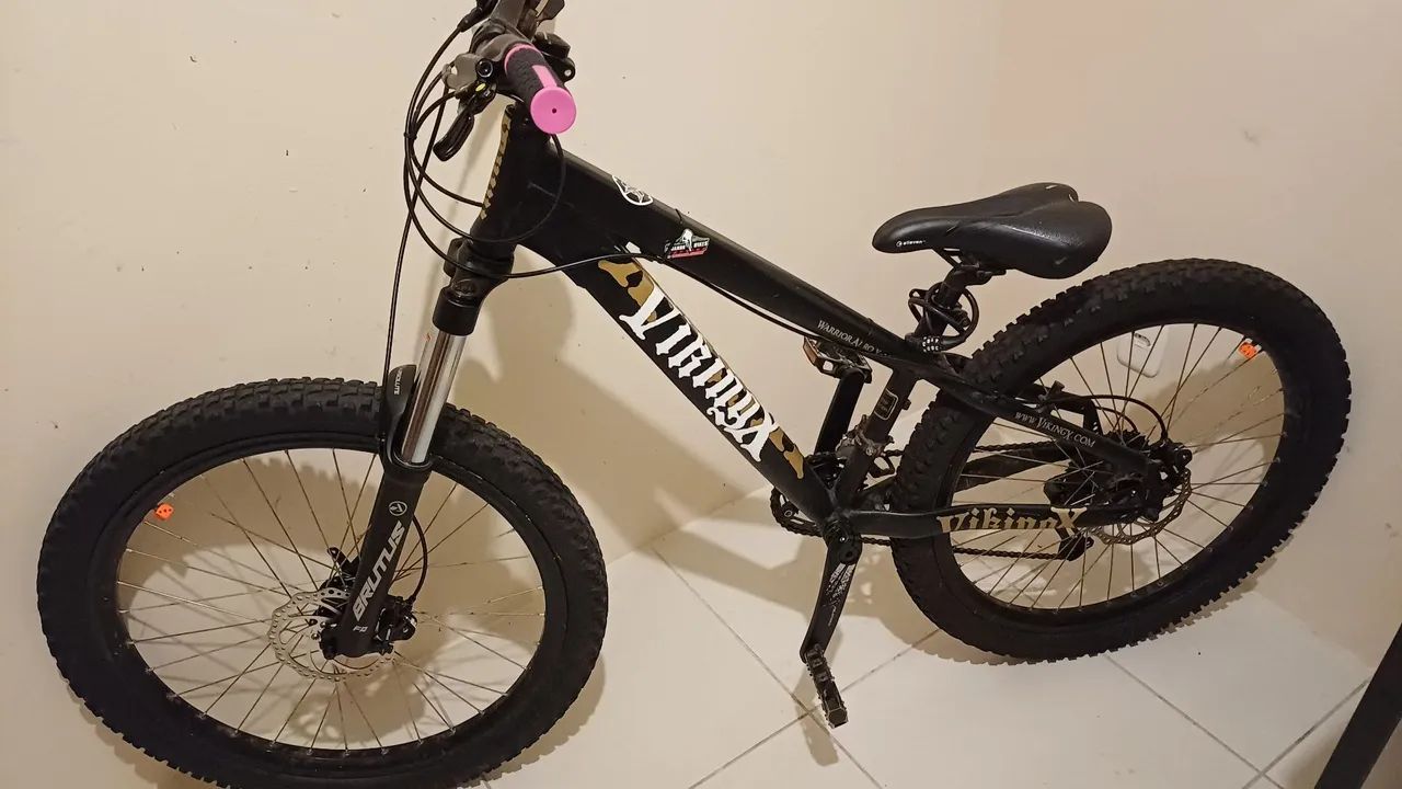 VikingX