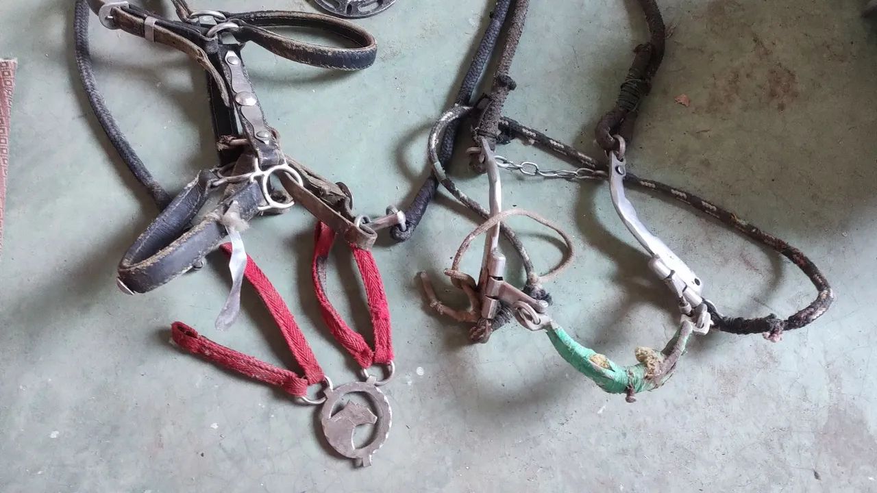 Vendo cabresto de cavalo - Foto 2