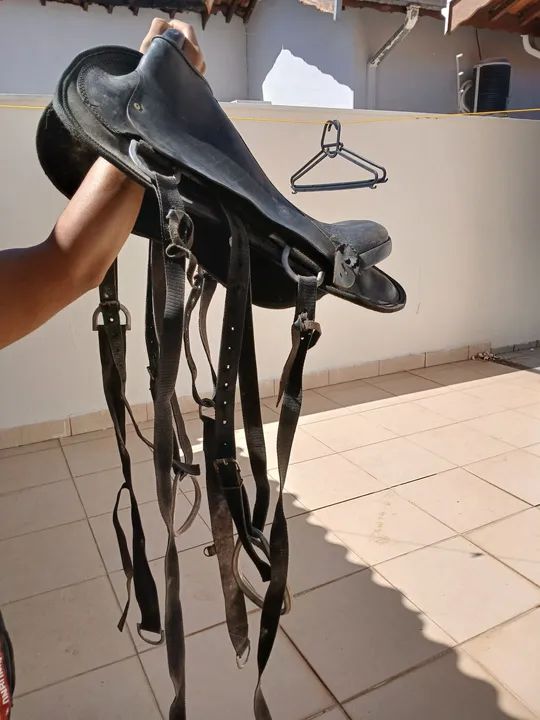 Cela mangalarga zera 