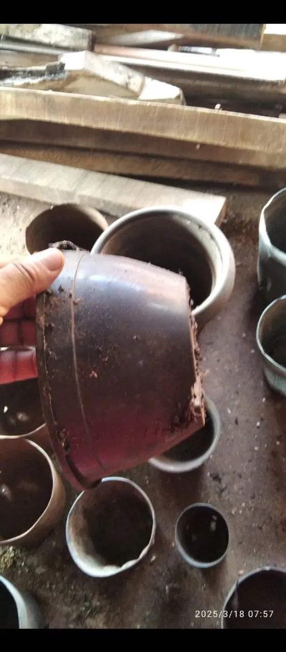 Vasos de plantas em ótimo estado