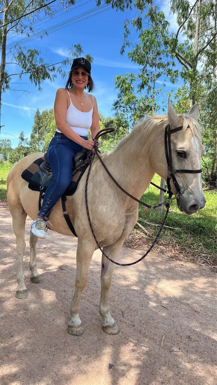 Cavalo mustang americano  - Foto 4