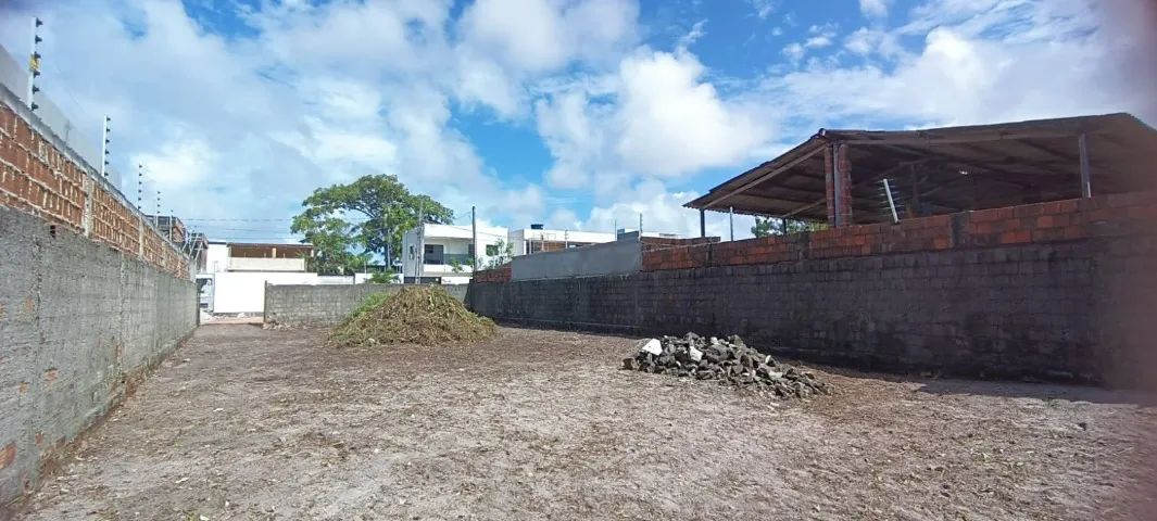 LIMPEZA E MANUTENÇÃO DE TERRENOS - Foto 4