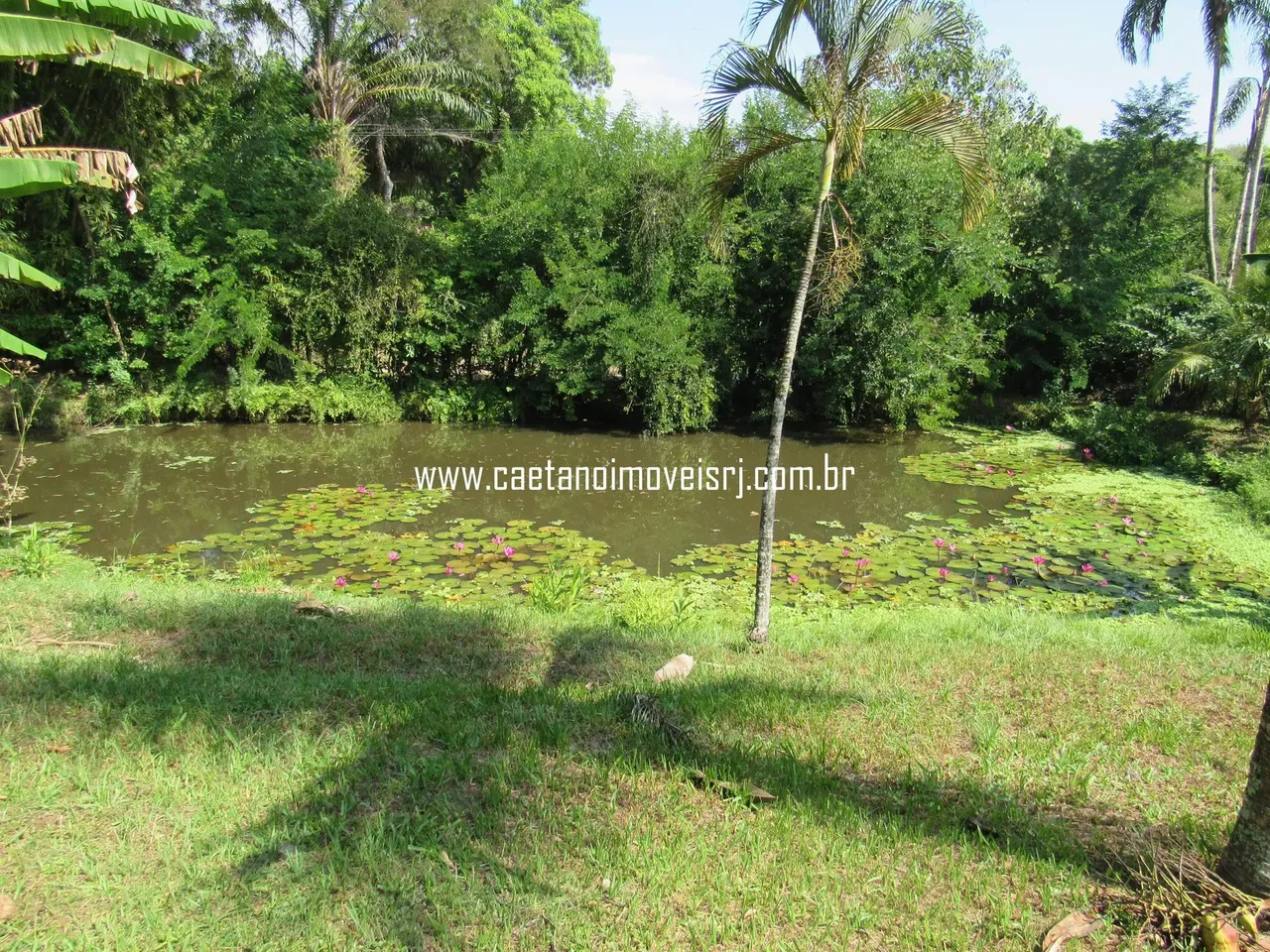 Terreno C/ Lago - Ideal Para Montar Seu Sítio - Oportunidade