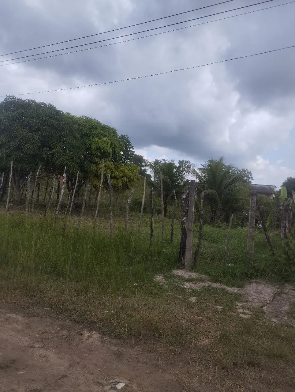 Vende-se terreno tiúma