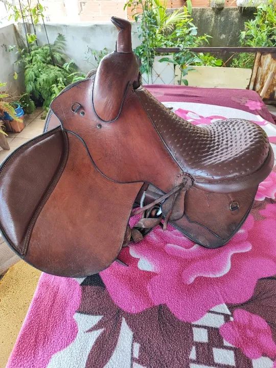 Sela americana tradicional  - Foto 3