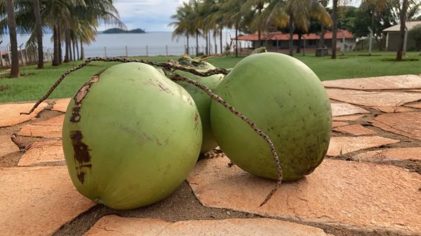Lago das Brisas - Buriti Alegre -Go - Foto 3
