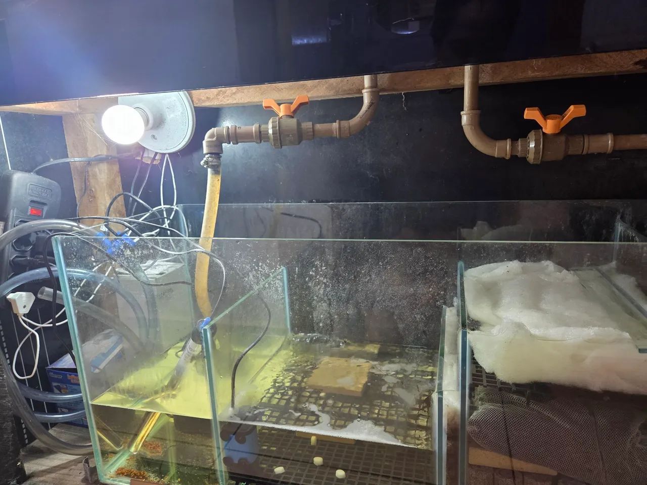 Aquário completo, com móvel  - Foto 6