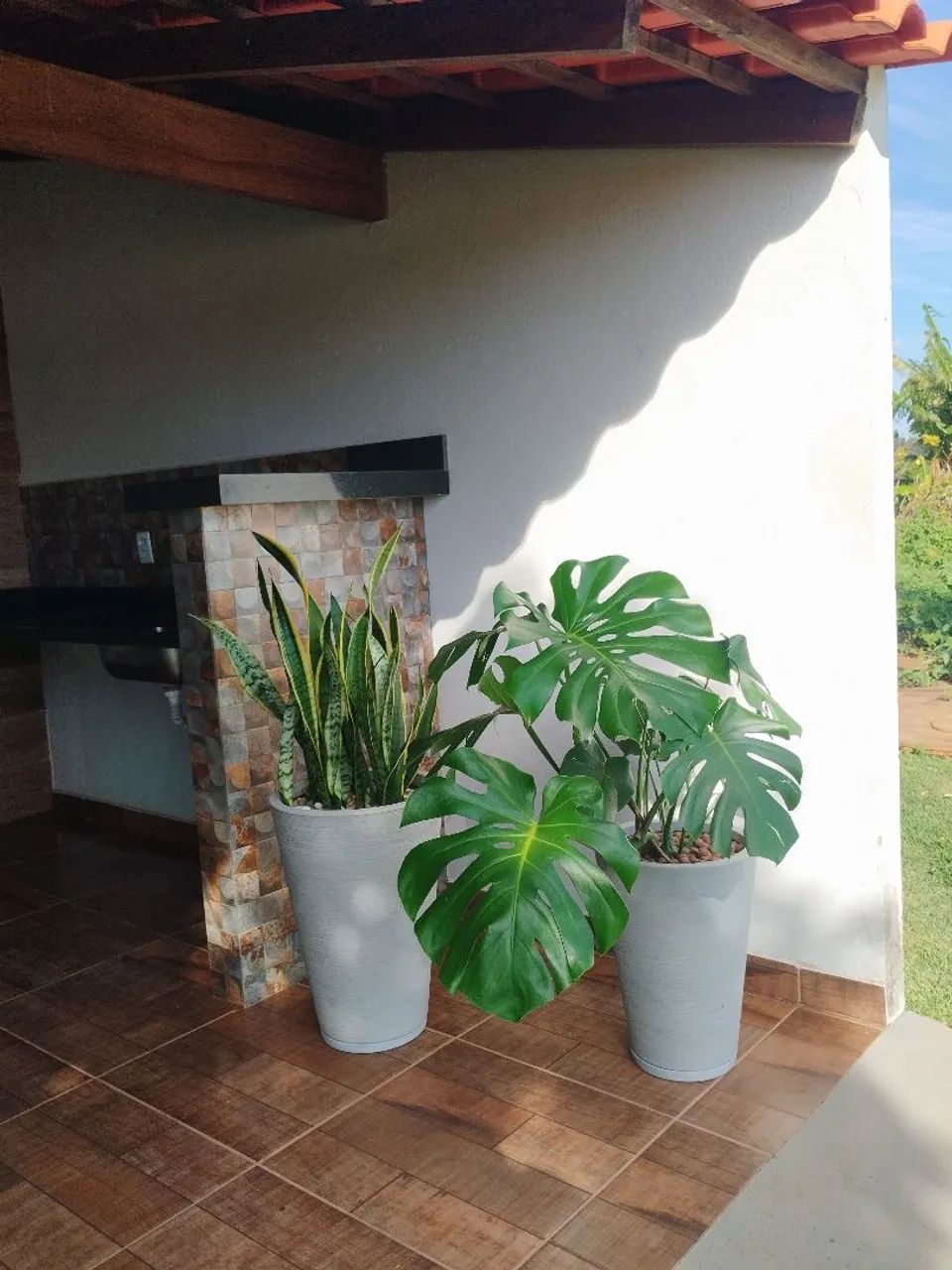 COSTELA DE ADÃO  - Foto 2