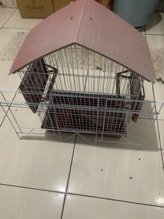 Gaiola para Calopsitas - Foto 3