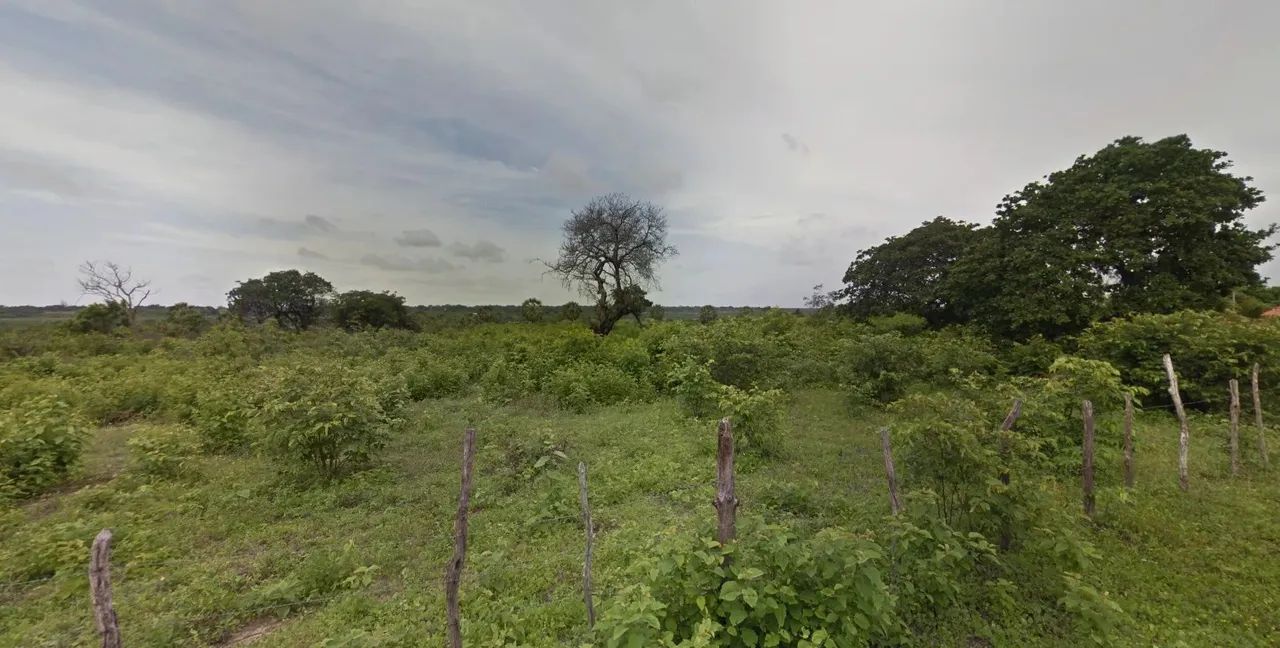 Terreno 84x30, 2.520m², em Pacajus/CE, próximo ao açude - Foto 2