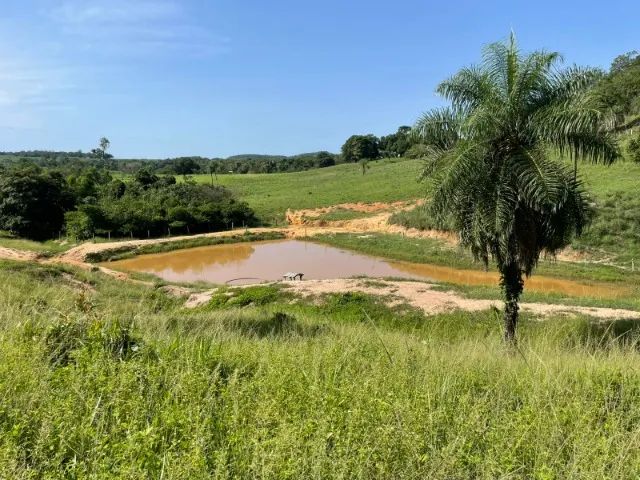 Fazenda à Venda Região nobre do TOCANTINS.