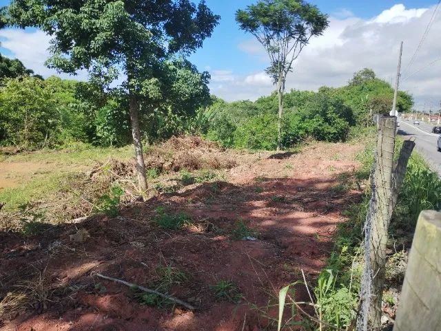 Terrenos com Áreas a partir de 2.096,83 M/2 - Frente para Rod ES 010 - Manguinhos Serra ES - Foto 2