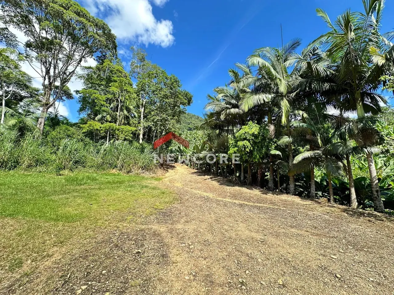 Sítio em Estrada Motucas - Vila Nova - Joinville/SC